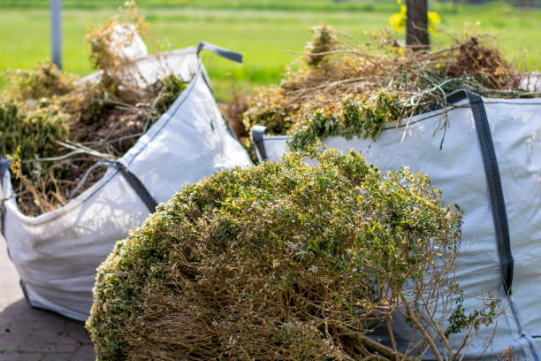 Debris Removal in Delft Colony, CA